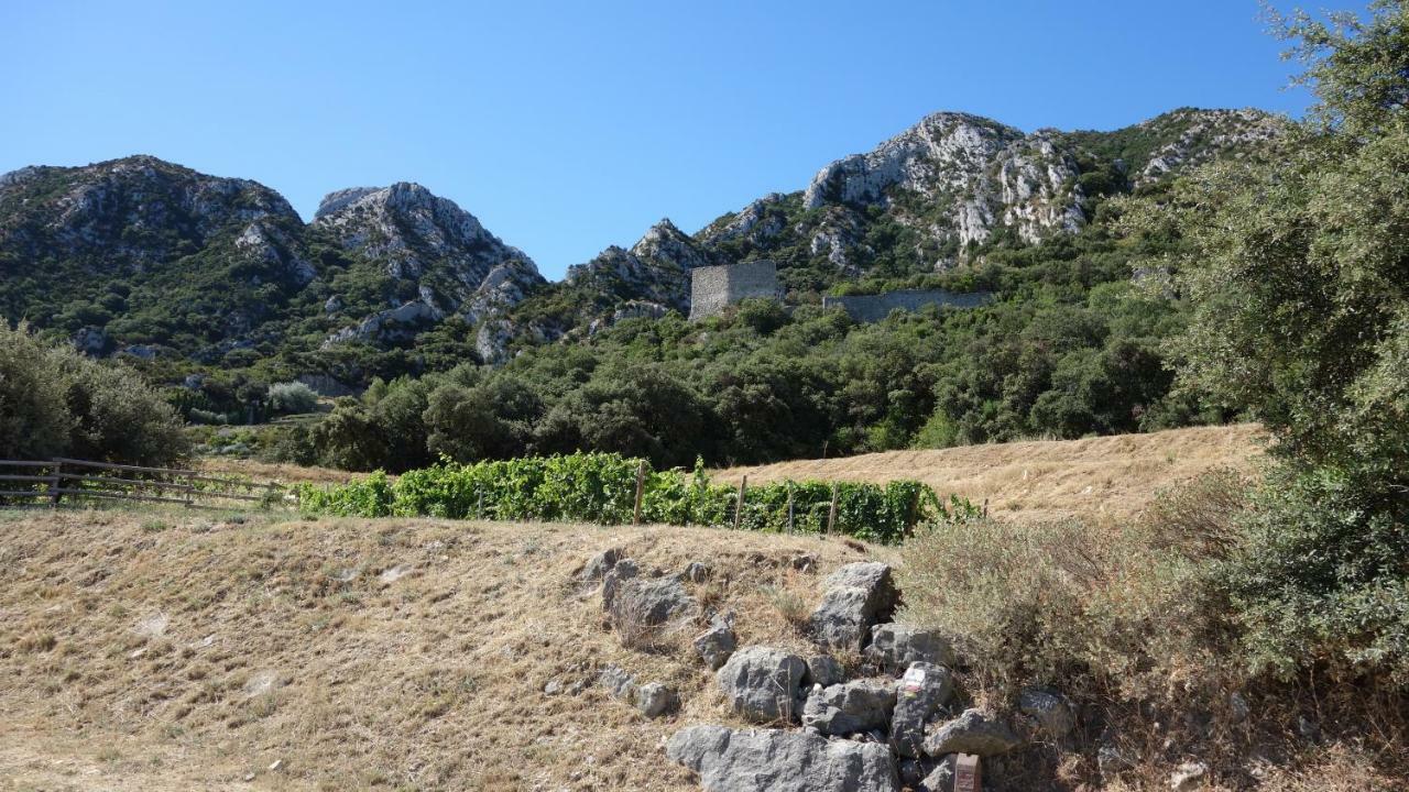 Les Lavandins-Gite Frederic Saint-Rémy-de-Provence Exterior foto
